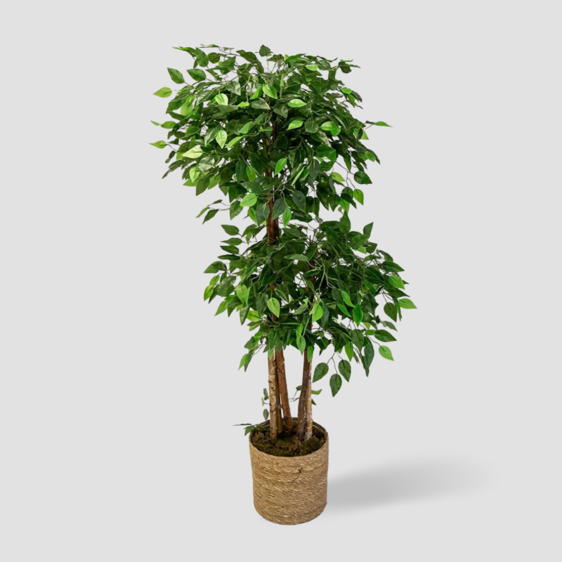 Arbre ficus artificiel pour interieur et exterieur1