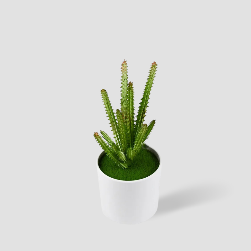 Cactus artificiel petite taille sans pot