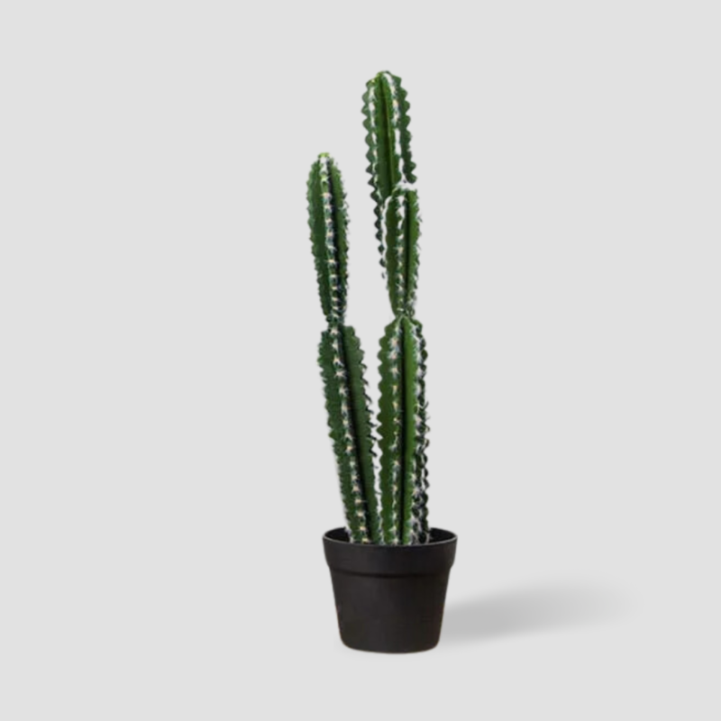 Cactus longs artificiels sans pot