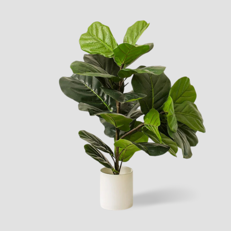 Plante artificielle grand arbre Ficus